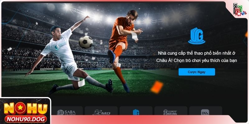 Giới thiệu NOHU90 - Những thông tin cơ bản